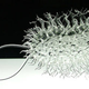 Illustration for article titled Gaze Upon The Most Beautiful Viruses Youll Ever See